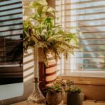 resized_32_api